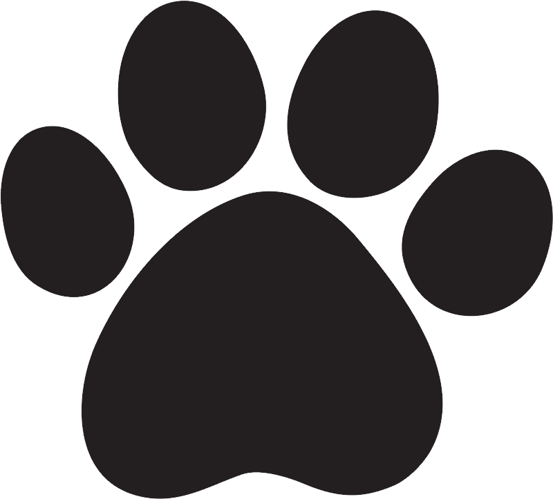 Pet Policy